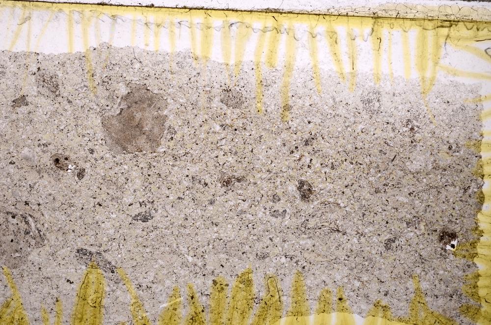 Plane Polarized, E38728