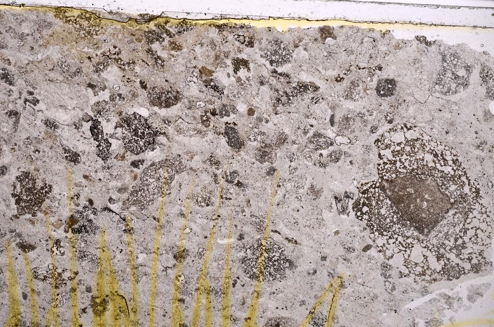 Plane Polarized, E38729