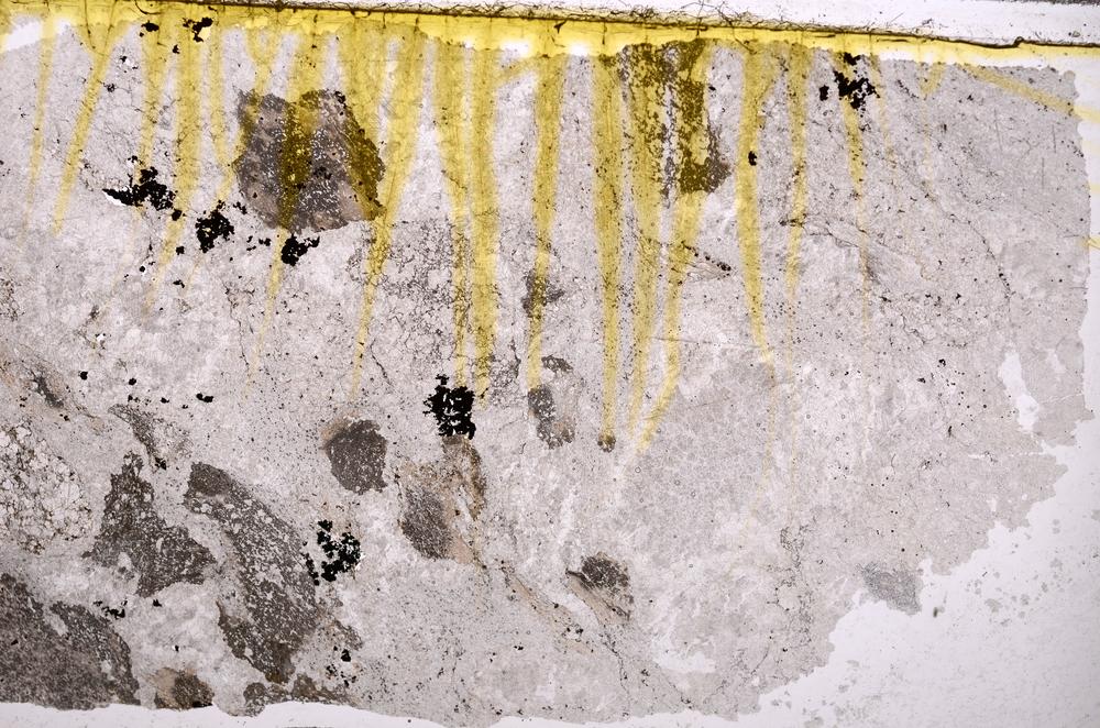 Plane Polarized, E38730