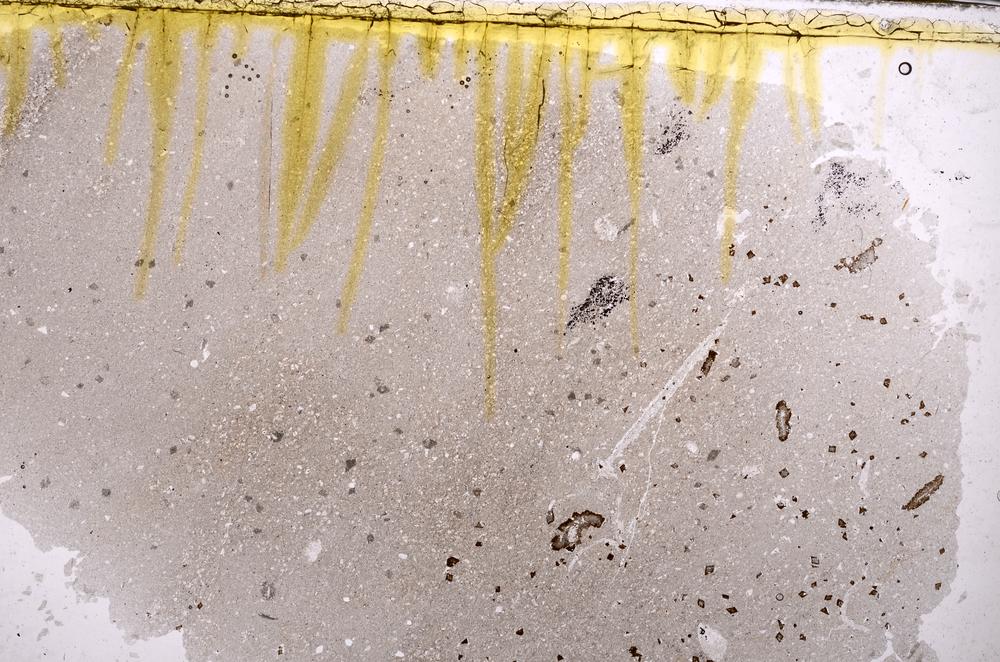 Plane Polarized, E38731