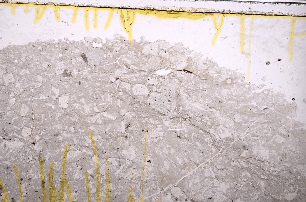 Plane Polarized, E38732