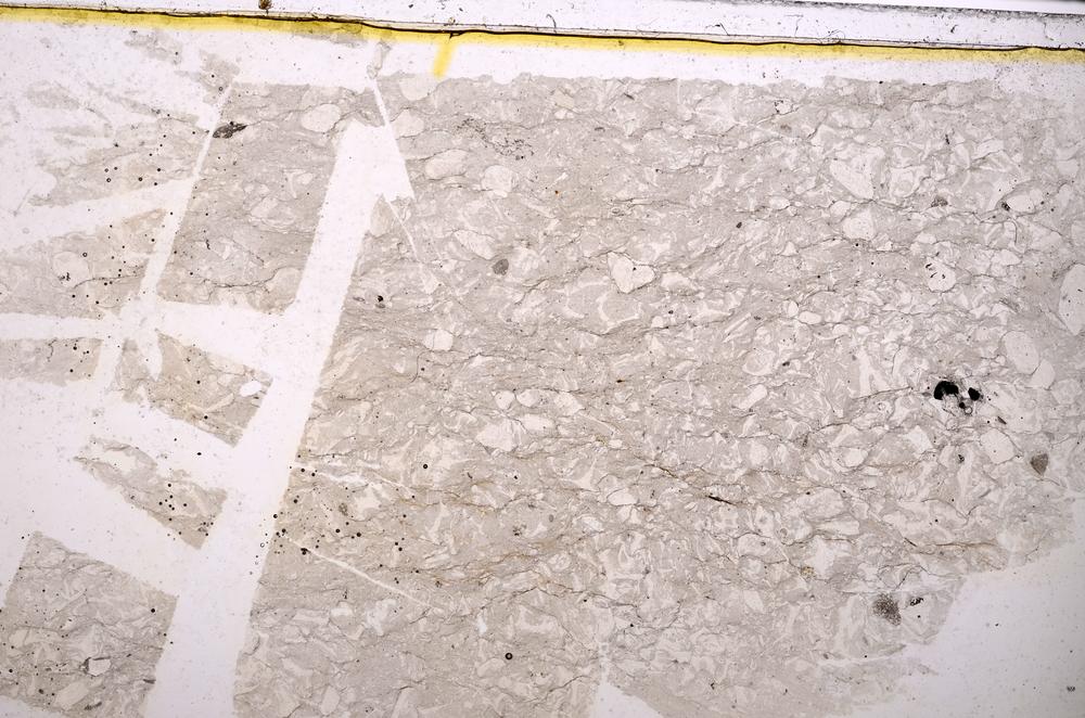 Plane Polarized, E38733