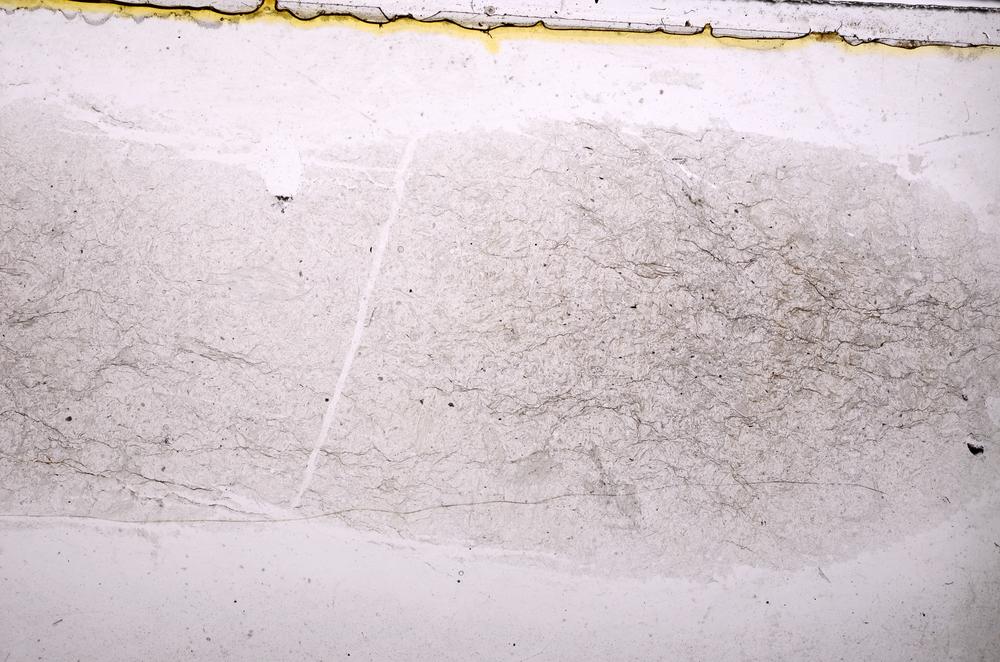 Plane Polarized, E38735