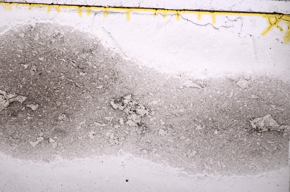 Plane Polarized, E38736