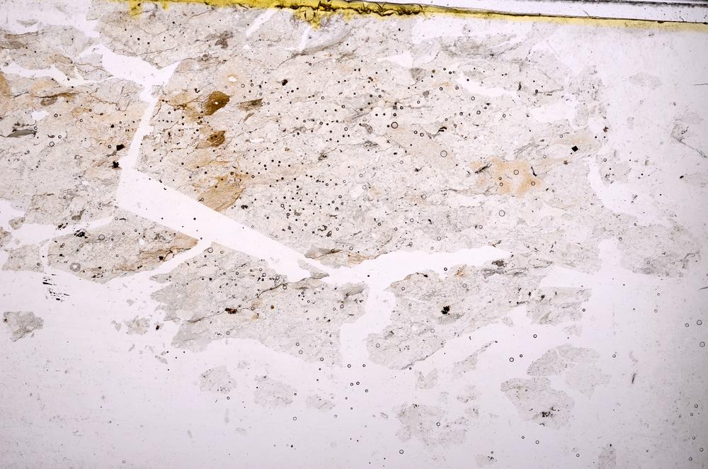 Plane Polarized, E38737