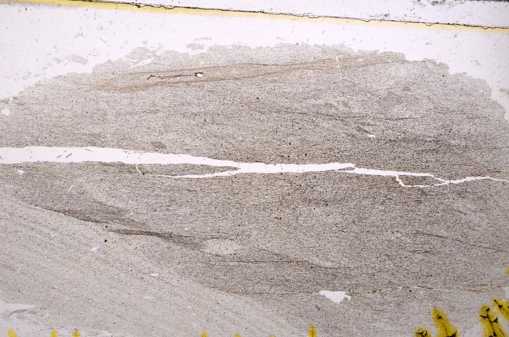 Plane Polarized, E38738