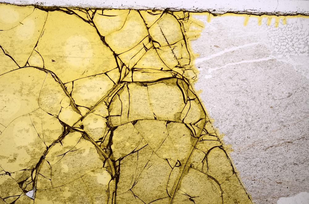 Plane Polarized, E38739