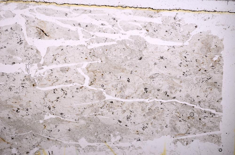 Plane Polarized, E38740