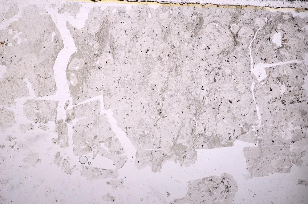 Plane Polarized, E38741