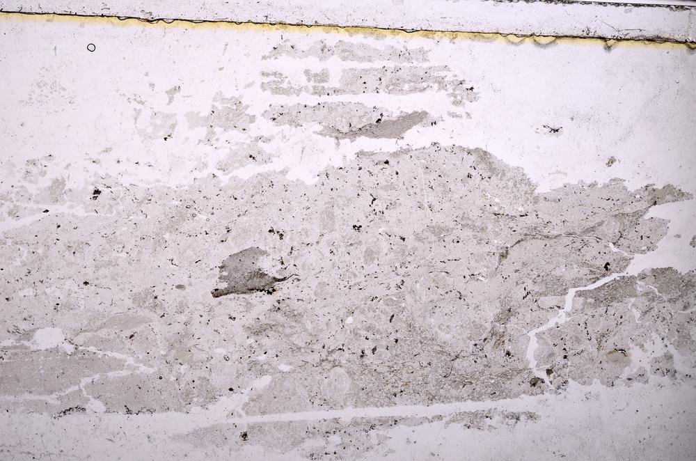 Plane Polarized, E38742