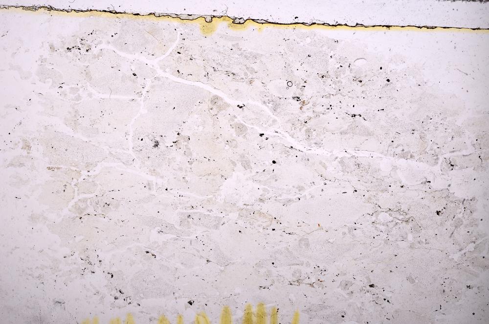 Plane Polarized, E38743