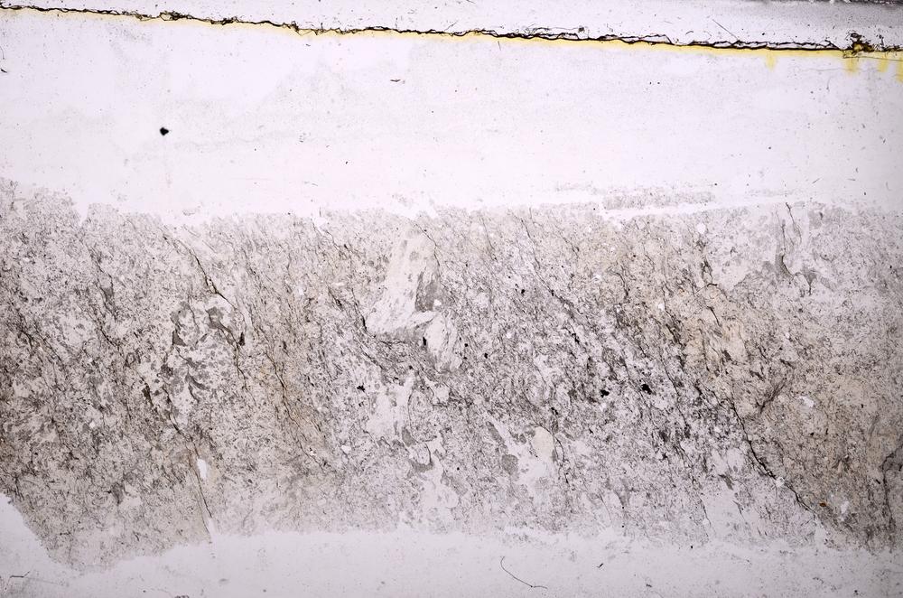 Plane Polarized, E38744