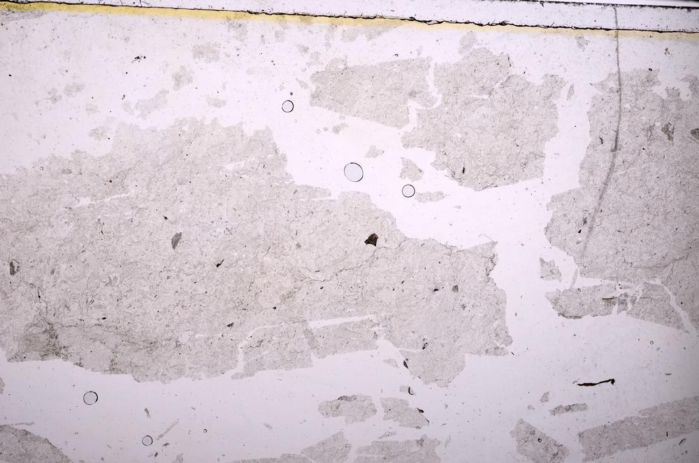 Plane Polarized, E38745