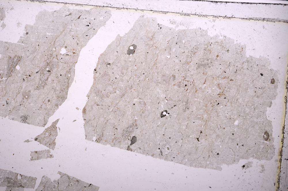 Plane Polarized, E38746