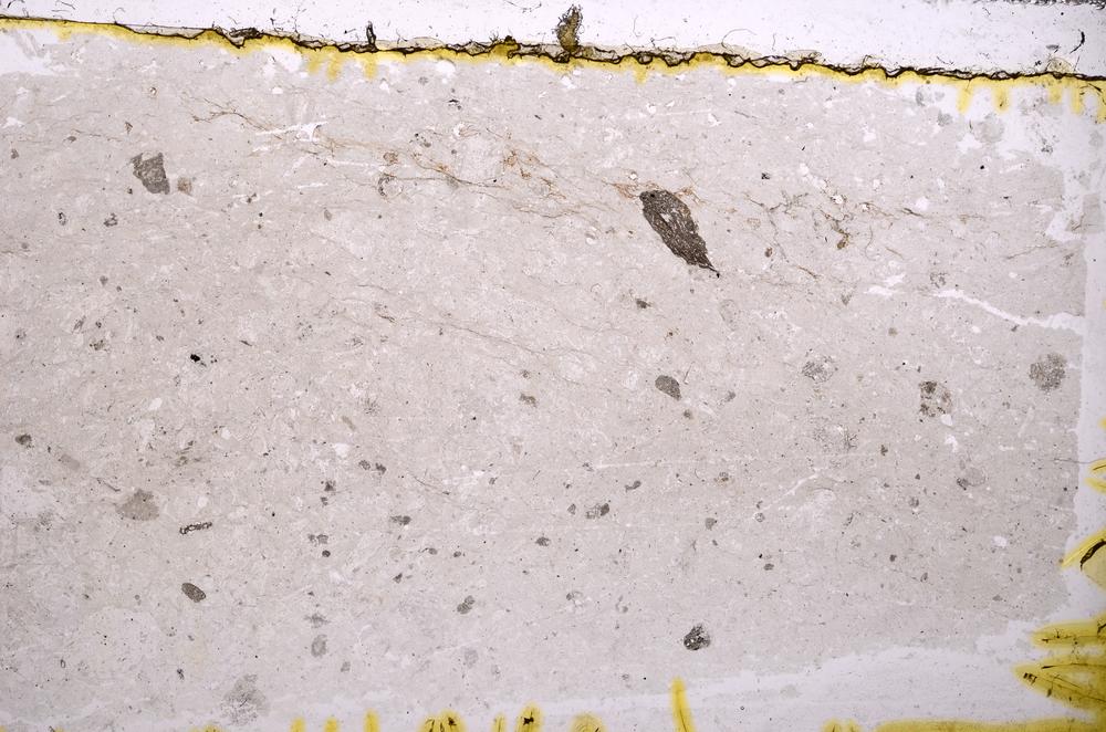 Plane Polarized, E38747