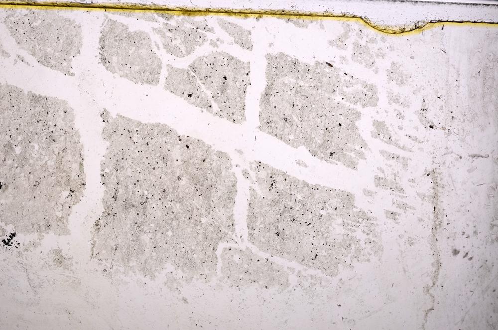 Plane Polarized, E38764