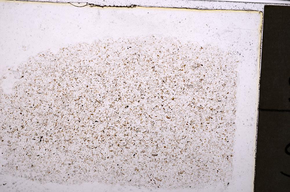 Plane Polarized, E38785