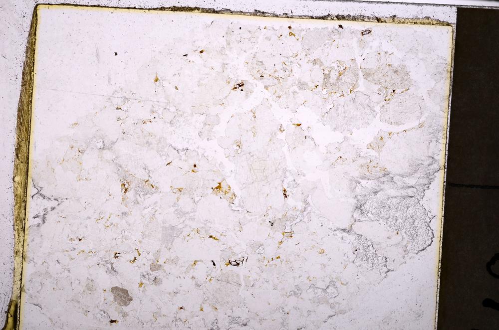 Plane Polarized, E38786