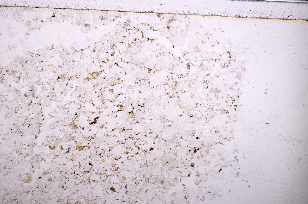 Plane Polarized, E38797