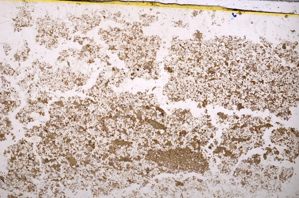 Plane Polarized, E38807