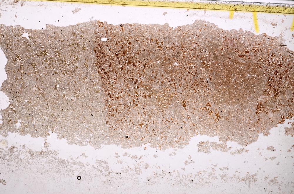 Plane Polarized, E38892