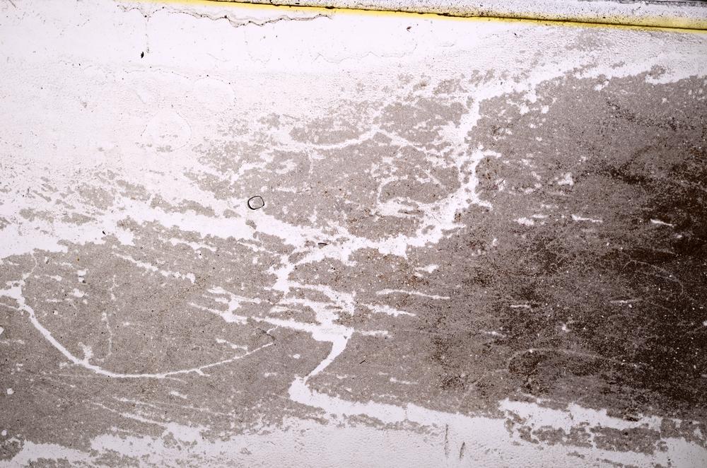 Plane Polarized, E38895