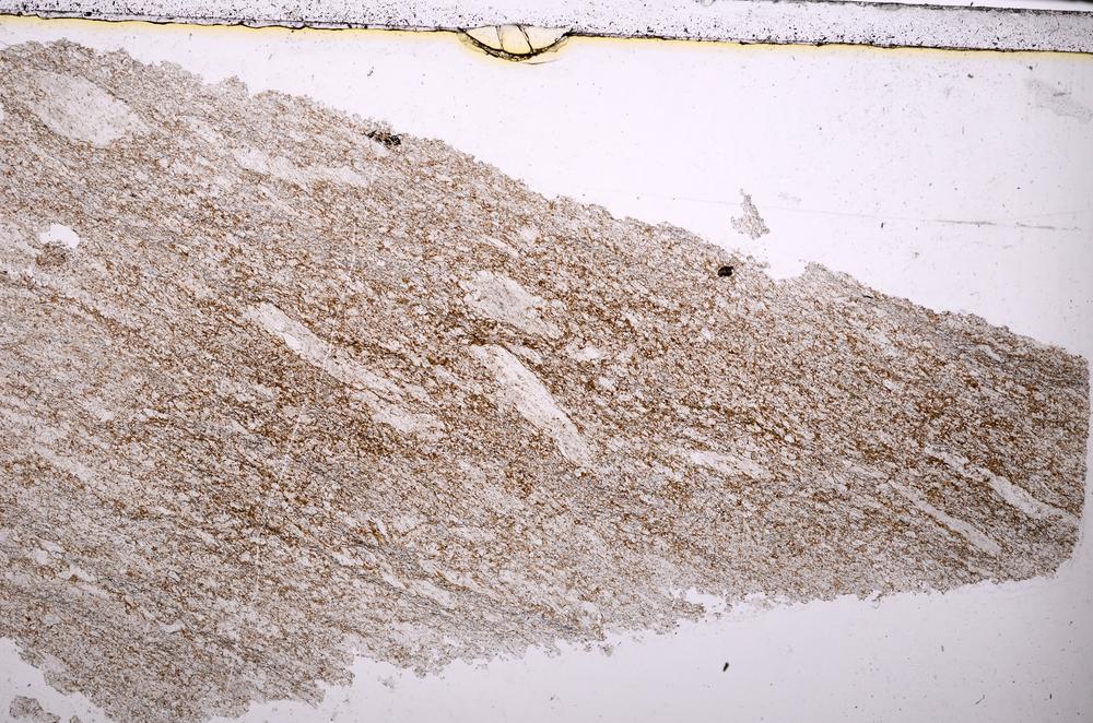 Plane Polarized, E38901