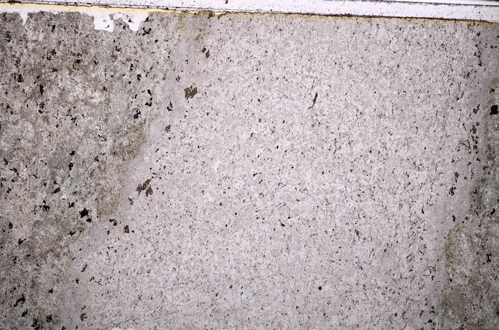 Plane Polarized, E38902