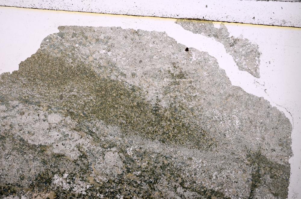 Plane Polarized, E38904