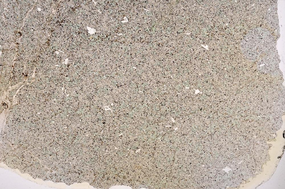 Plane Polarized, E38933/A