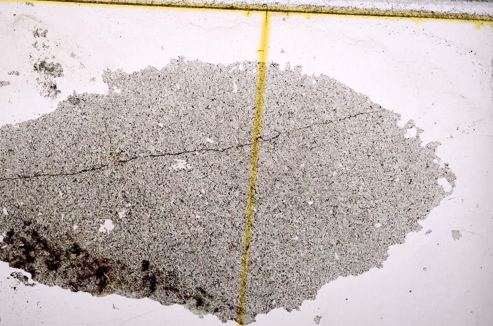 Plane Polarized, E38935/A