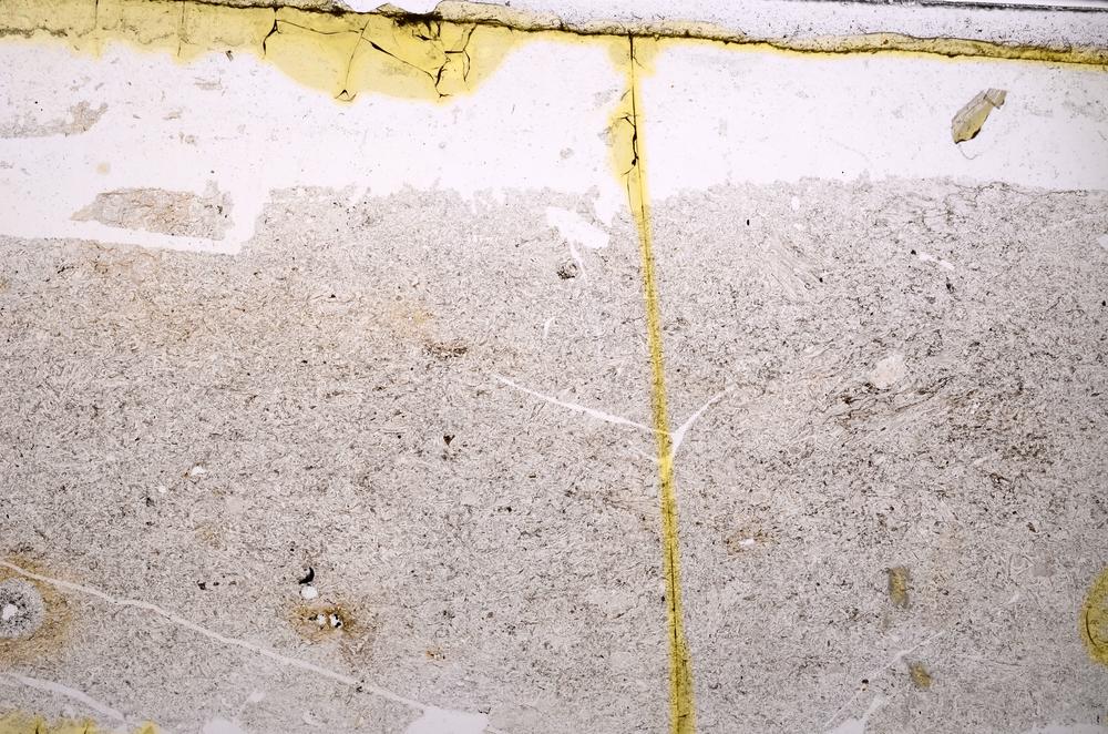 Plane Polarized, E38972