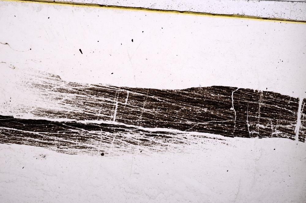 Plane Polarized, E38984