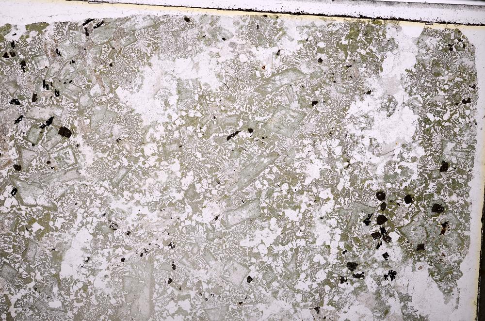 Plane Polarized, E38987