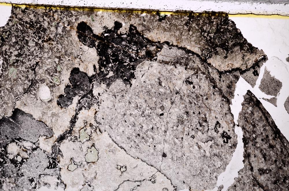 Plane Polarized, E39084