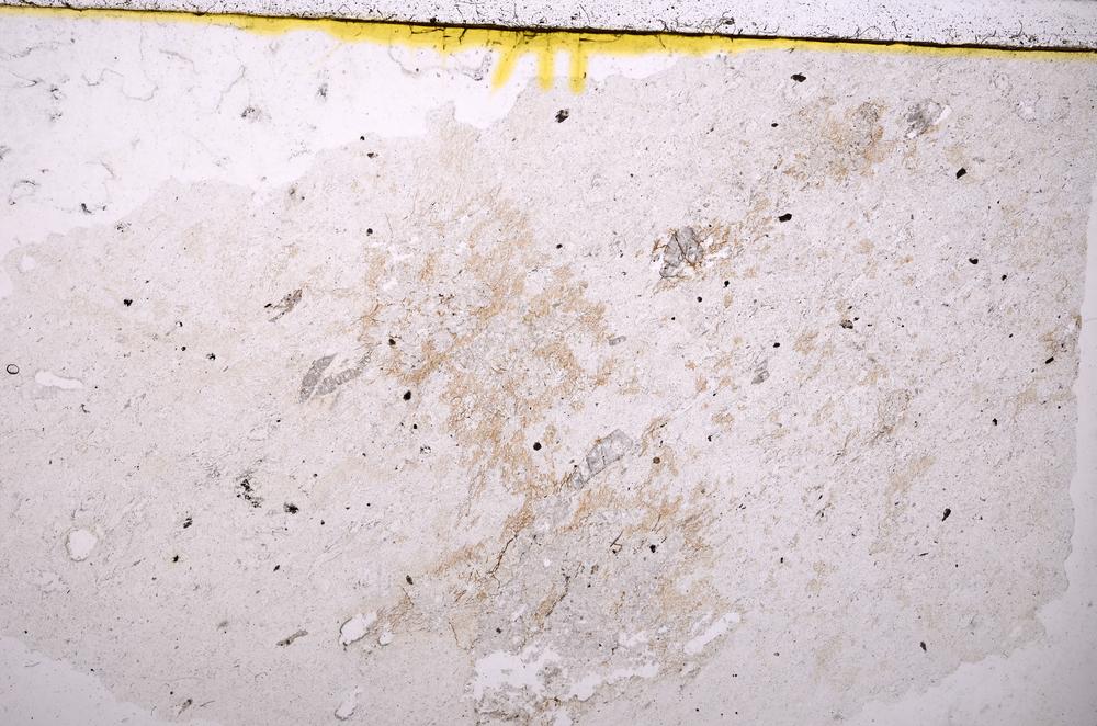 Plane Polarized, E39145