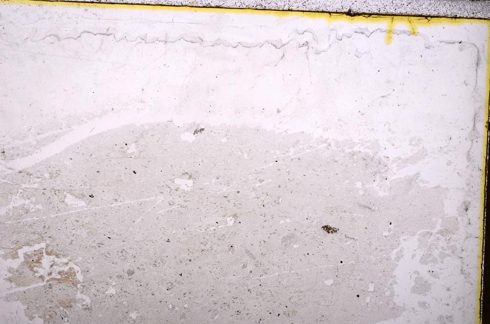 Plane Polarized, E39149