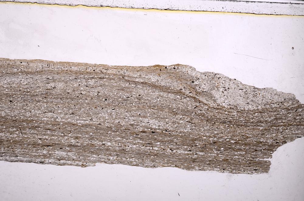 Plane Polarized, E39153