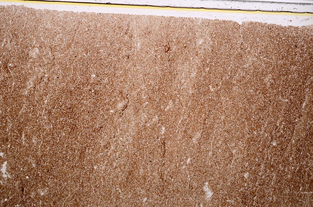 Plane Polarized, E39209