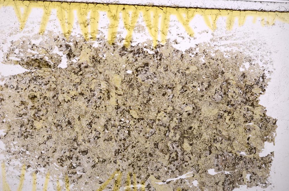 Plane Polarized, E39369