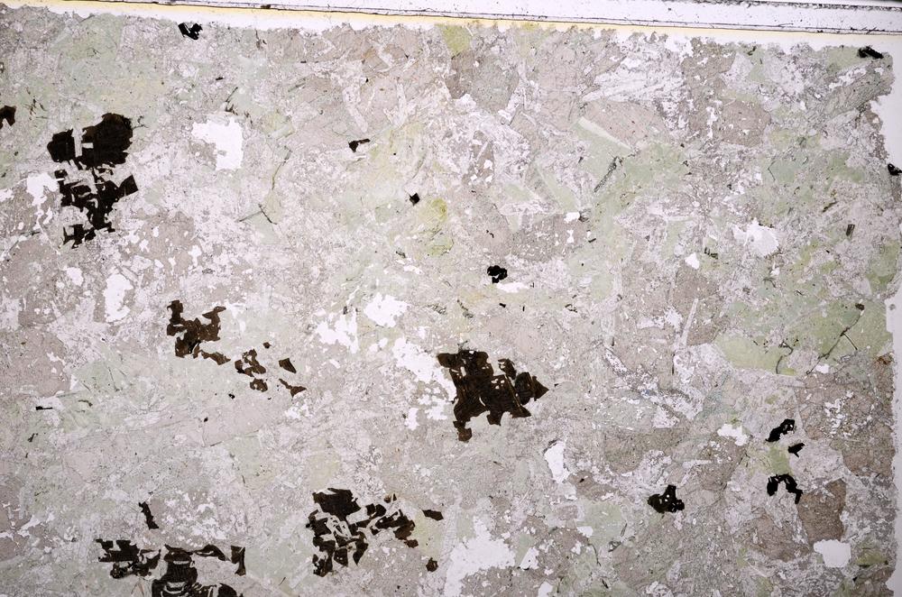 Plane Polarized, E39462/A
