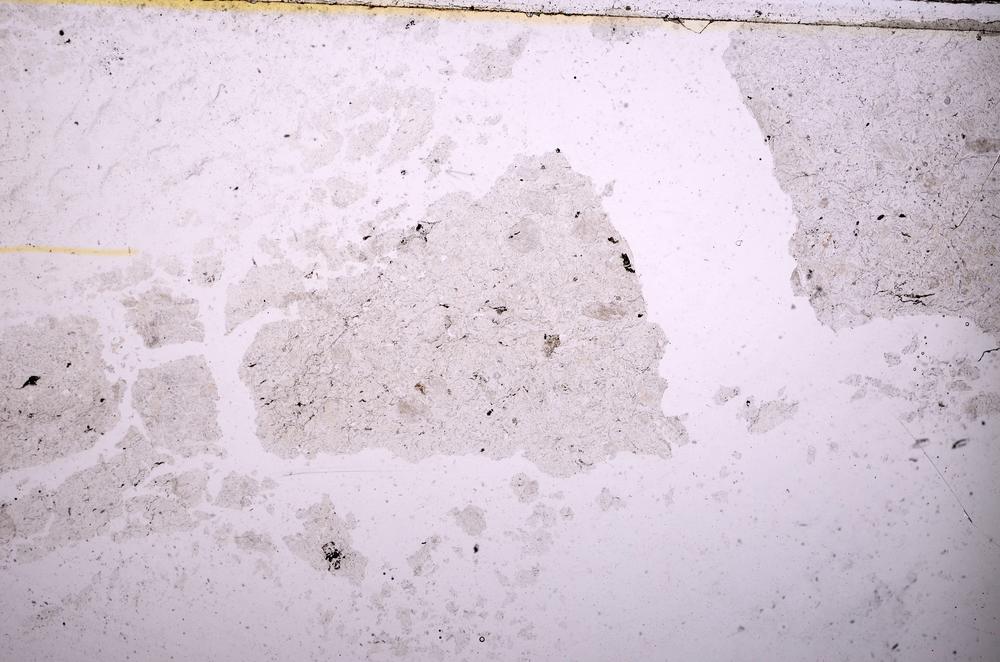 Plane Polarized, E39476