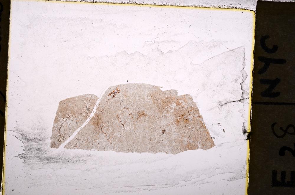 Plane Polarized, E39546/A