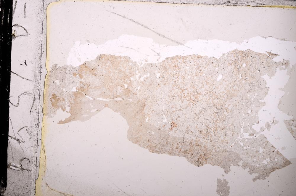 Plane Polarized, E39547