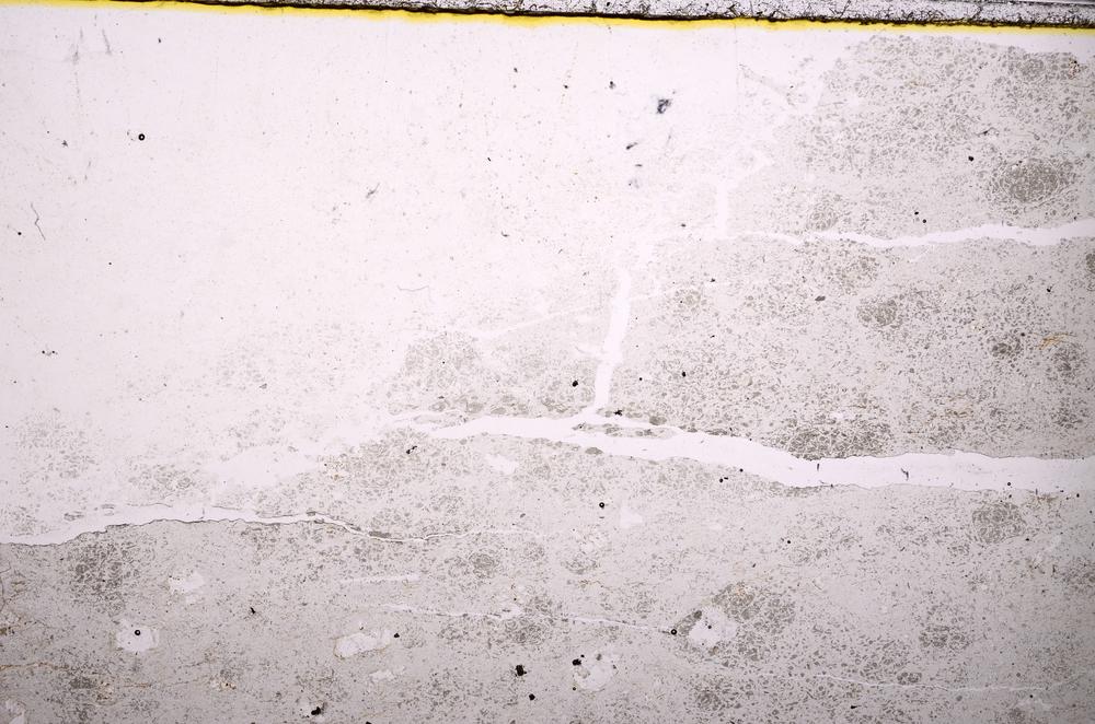 Plane Polarized, E39550