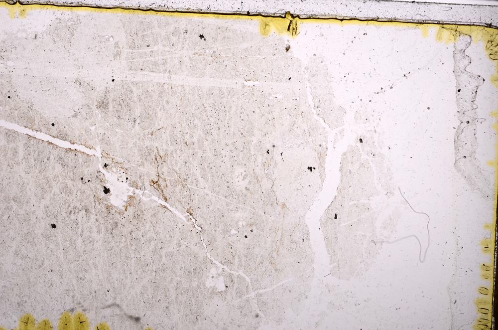 Plane Polarized, E39551