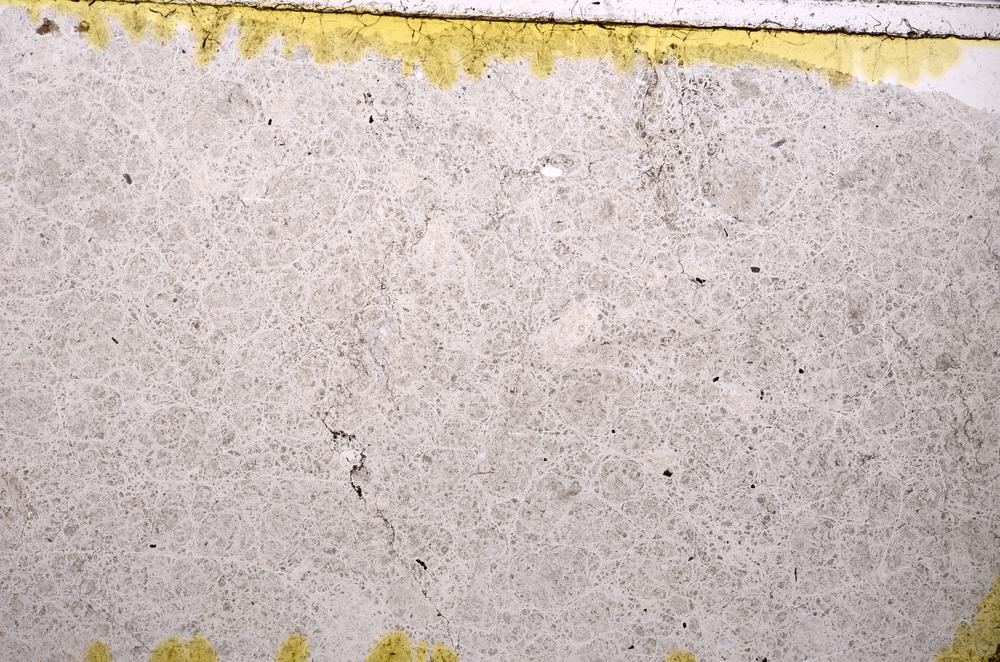 Plane Polarized, E39552