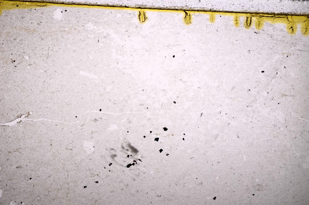 Plane Polarized, E39553