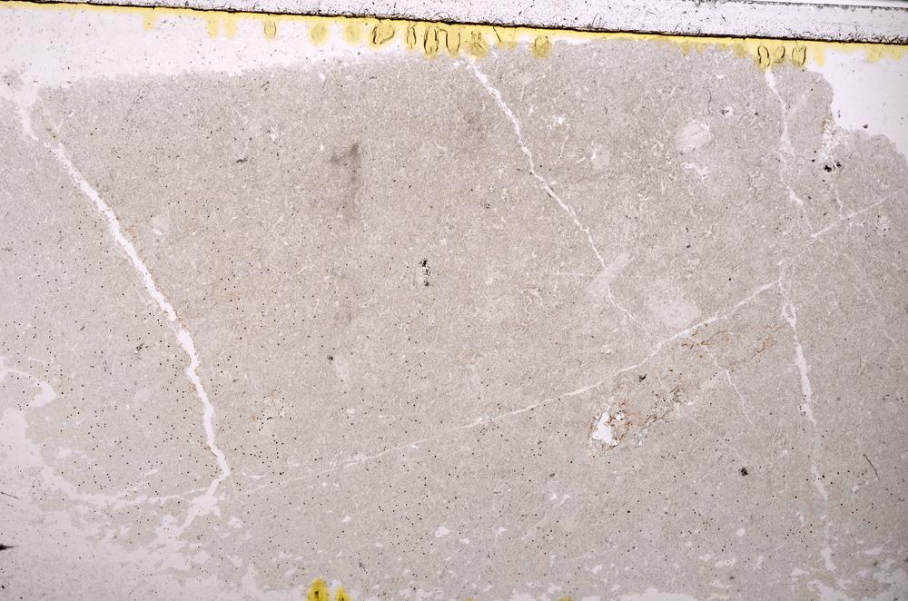 Plane Polarized, E39554