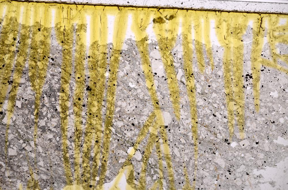 Plane Polarized, E39571